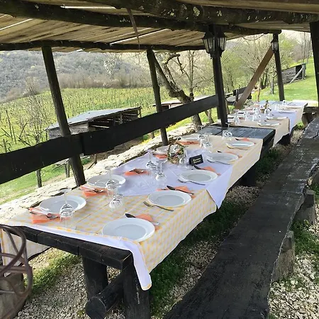 Agroturizam Toni Motovun