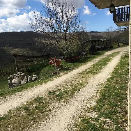 Agroturizam Toni Motovun